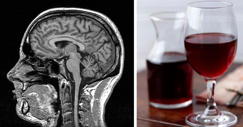 red wine and brain function - red wine and memory loss - red wine benefits for brain